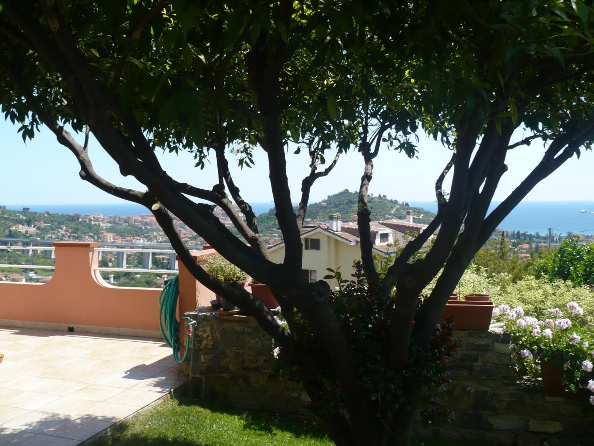 Azienda Agrituristica Villa Arianna Imperia Exterior foto